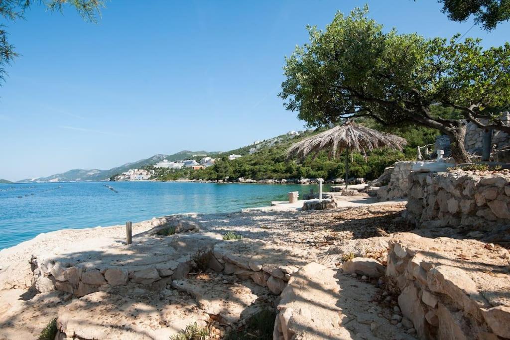 נאום Beautiful Fully Renovated Apartment By The Sea, Large Balcony With Enchanting Views מראה חיצוני תמונה